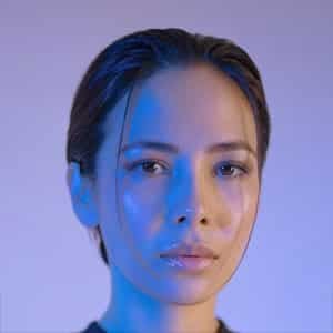 نوین وردپرس